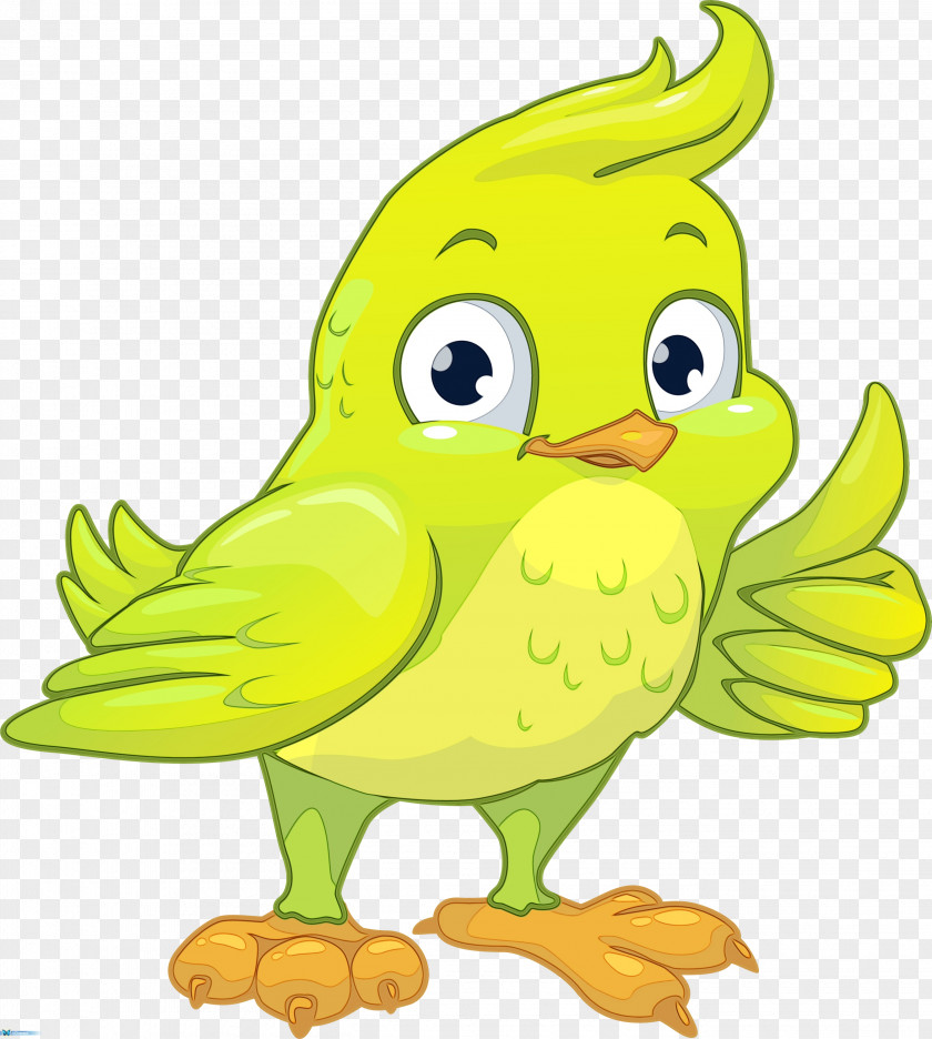 Animal Figure Parrot Bird PNG