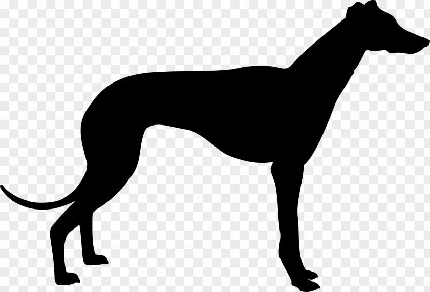 Animal Silhouettes Greyhound Silhouette Clip Art PNG