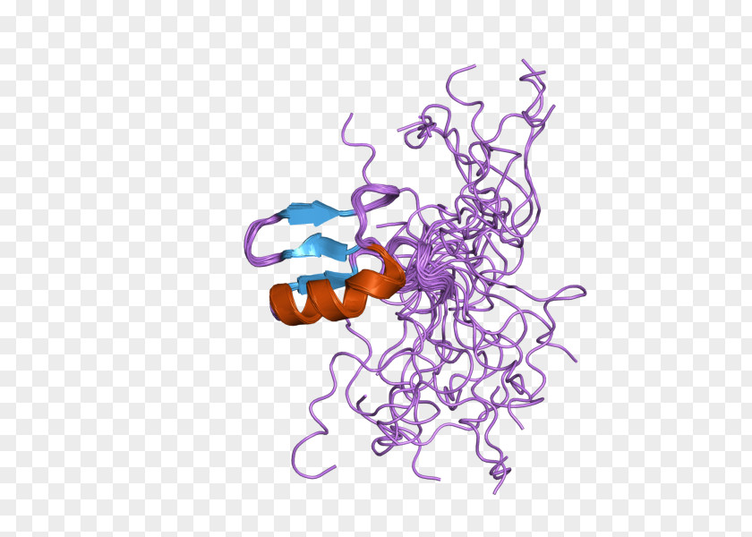 CHD7 Helicase Chromatin Remodeling Protein Enzyme PNG