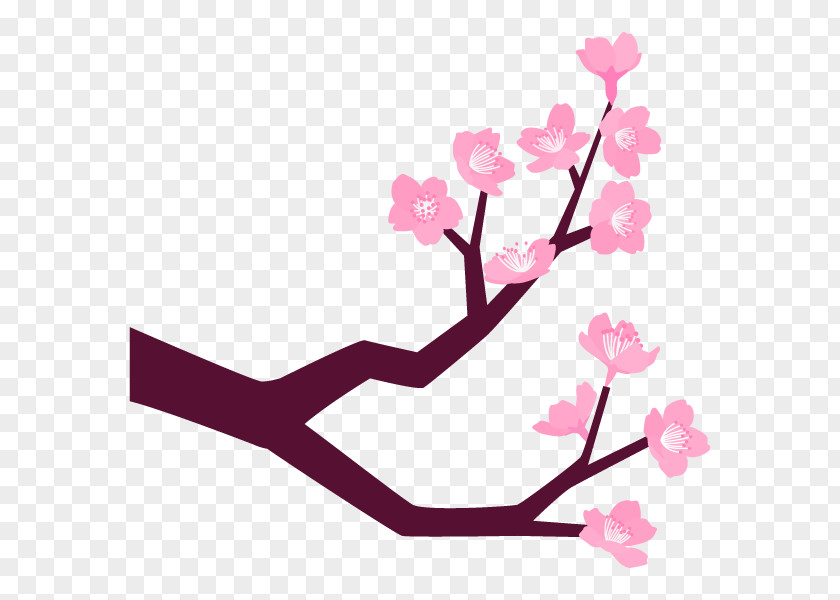 Cherry Blossom Illustration Flower Design Clip Art PNG