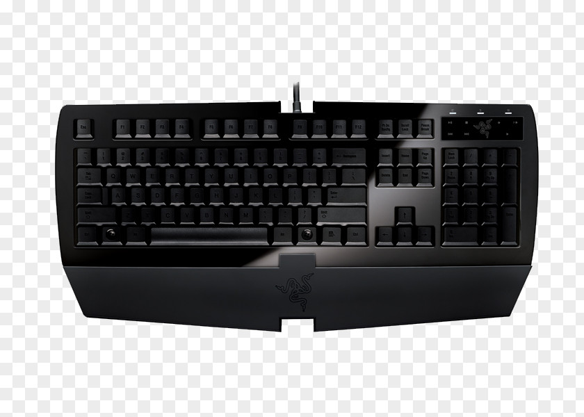 Computer Keyboard Razer Arctosa Inc. Touchpad DeathStalker PNG