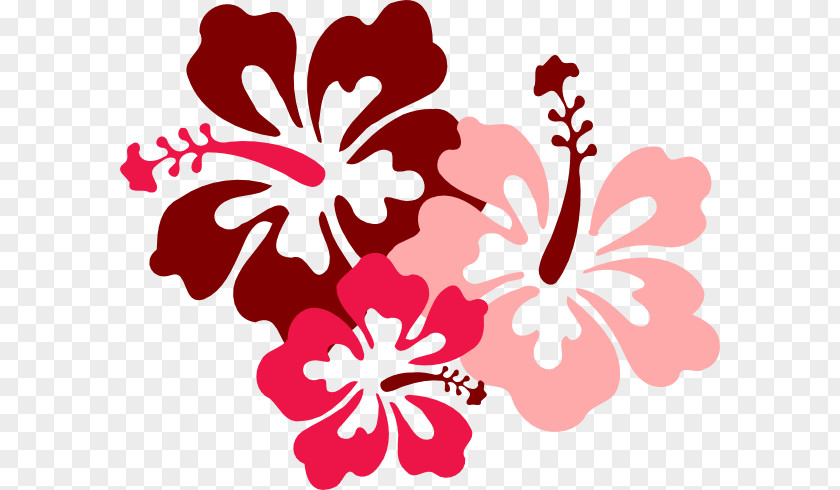 Cuisine Of Hawaii Hawaiian Flower Clip Art PNG