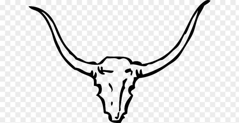 Deer Skull English Longhorn Texas Bull Clip Art PNG