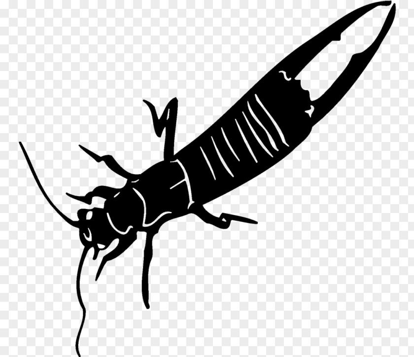 Insect Pollinator White Clip Art PNG