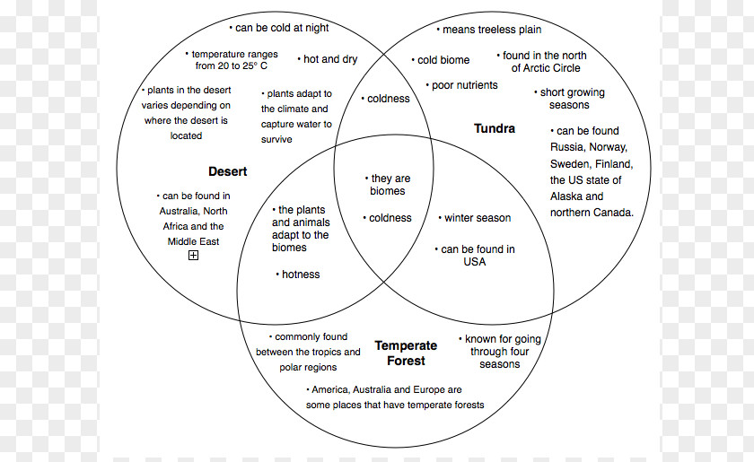 Line Diagram Material PNG