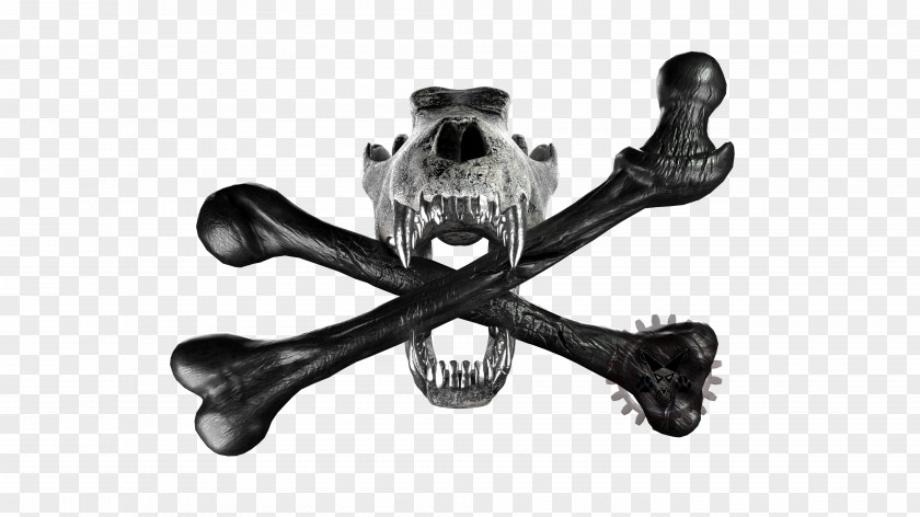 Skull And Crossbones Bones Arctic Wolf Black PNG