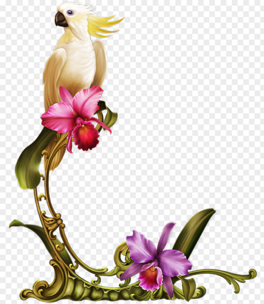 Birds Of Paradise Flower Floral Design Cut Flowers 1/4 Jesus Is Die Heer PNG