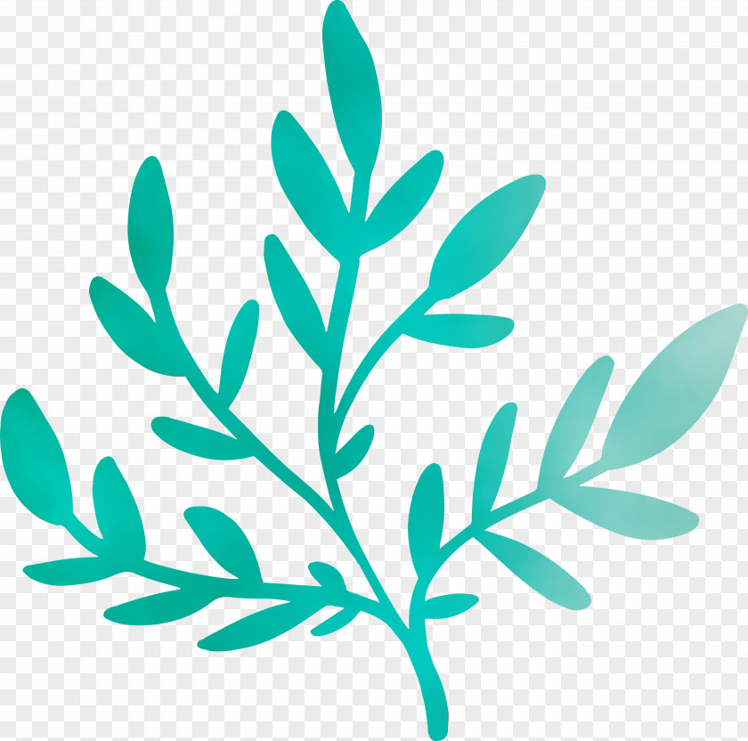 Branch Plant Stem Leaf Turquoise Lawn PNG