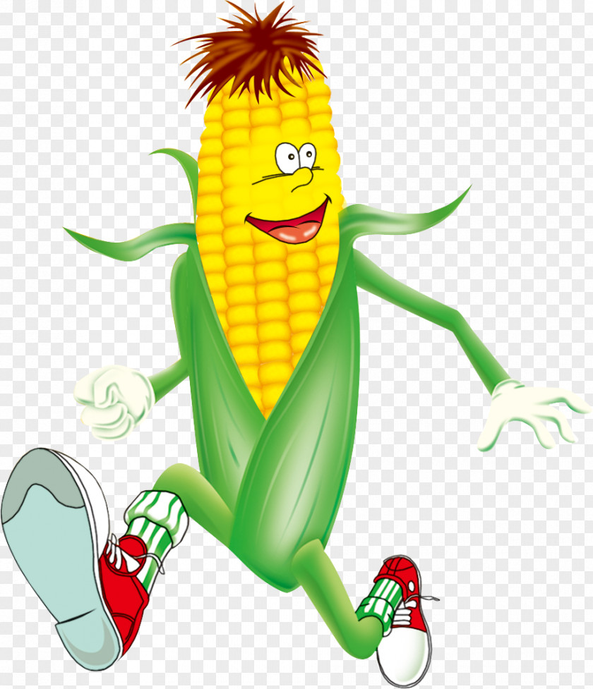 Corn Maize Cartoon Illustration PNG