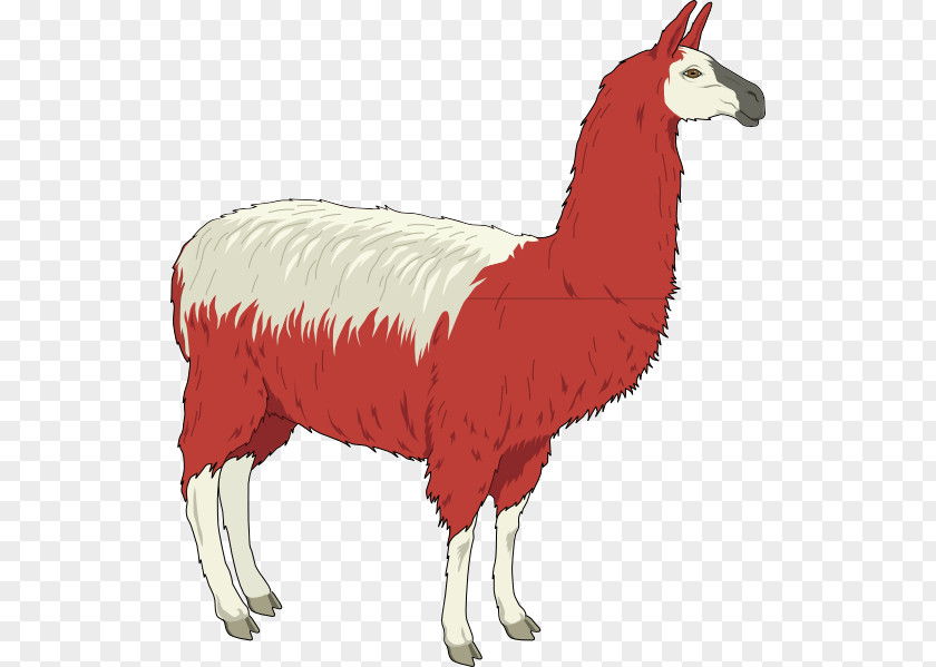 K Vector Llama Alpaca Clip Art PNG
