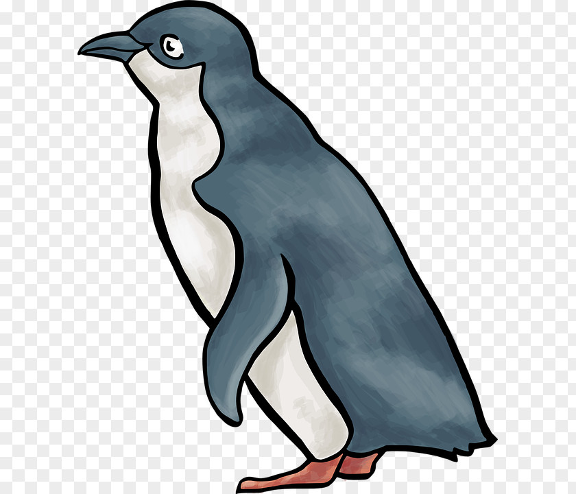 Penguin Clip Art Vector Graphics Royalty-free Image PNG