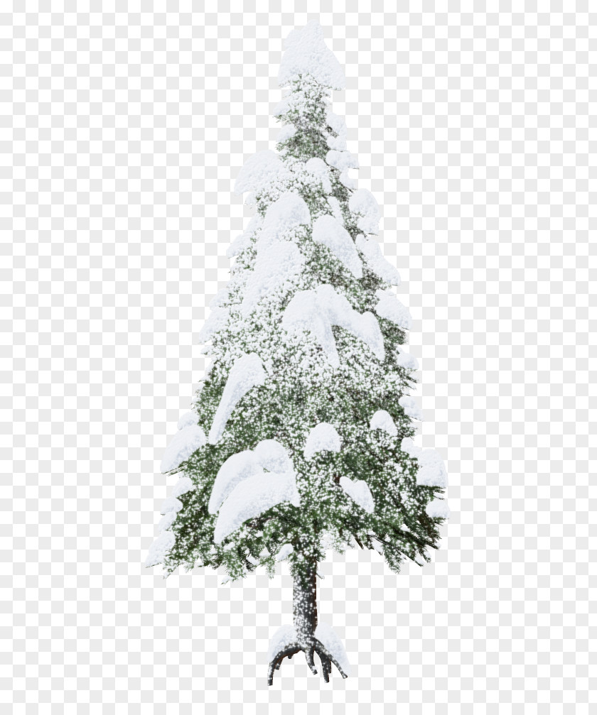 Snow Trees Christmas Tree Clip Art PNG