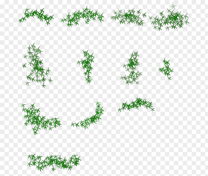 Bamboo Leaves Facade Plane PNG