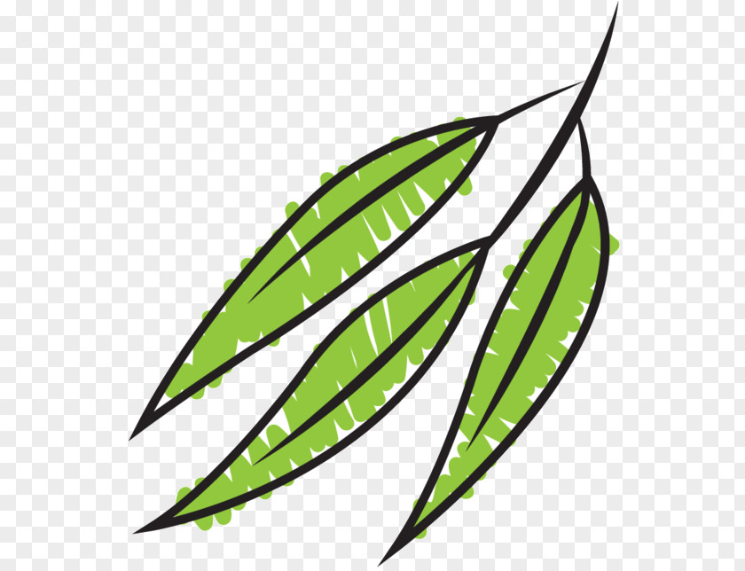 Clip Art Leaf Line Tree PNG