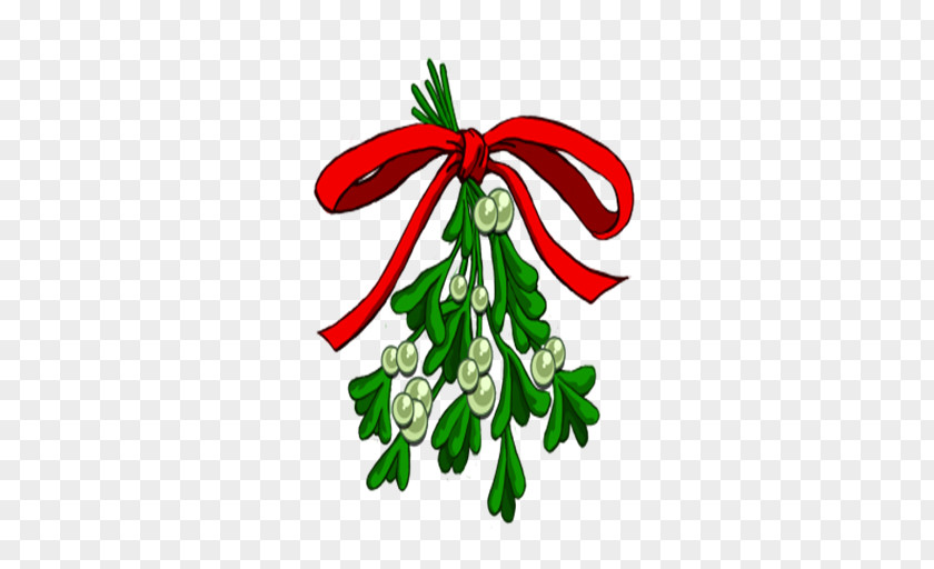 Conifer Holiday Ornament Christmas Decoration PNG
