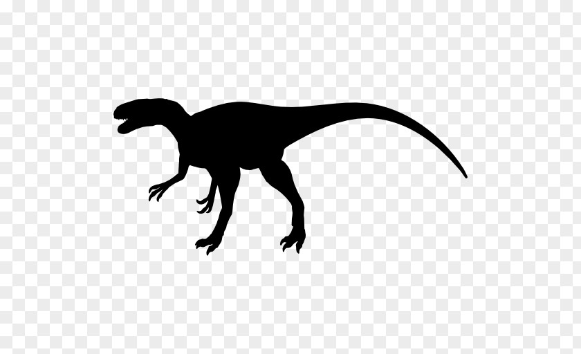 Dinosaur Vector Tyrannosaurus Megalosaurus Velociraptor PNG