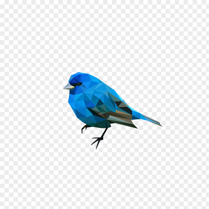 Triangle Split Bird Wren Art Geometry Low Poly PNG