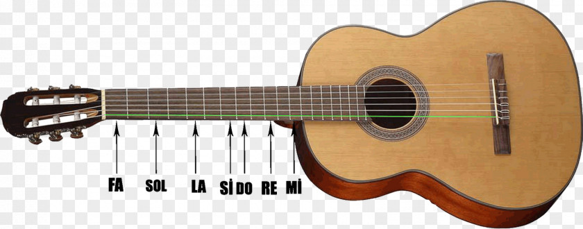 Acoustic Guitar Tiple Cuatro Musical Note PNG