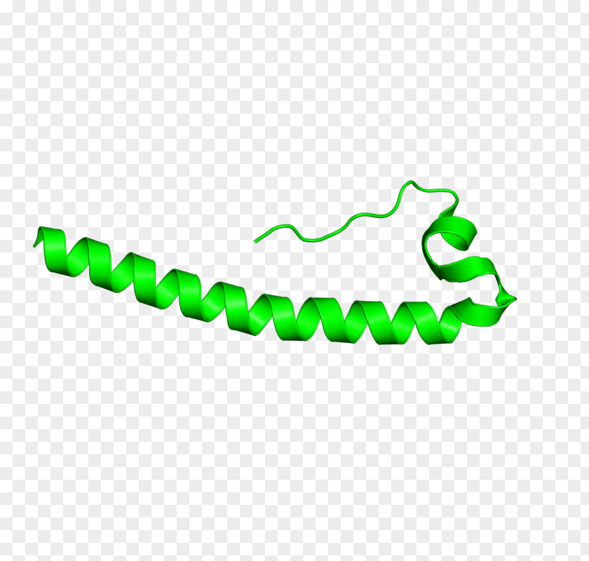 Design Line Clip Art PNG