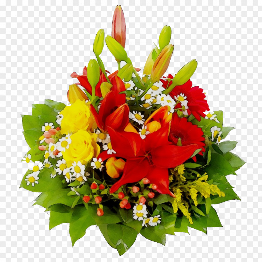 Herbaceous Plant Petal Lily Flower PNG