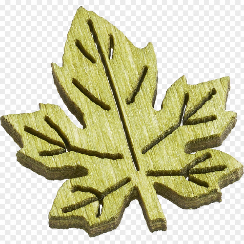 Leaf Green Produce Maple PNG