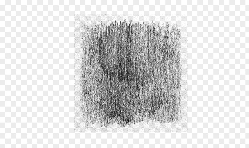 Paint Smudge Black And White Monochrome Photography Drawing Tree PNG