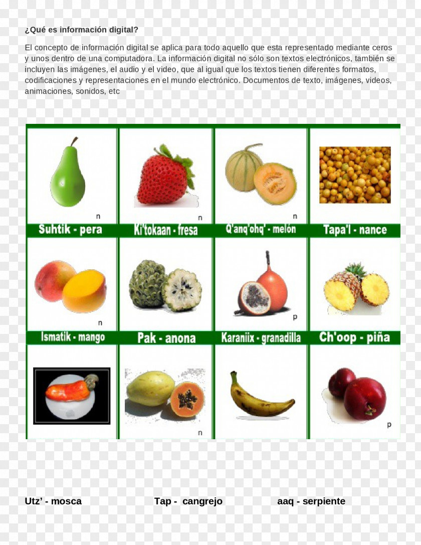Vegetable Fruit Poqomchi' Language Spanish Poqomam PNG