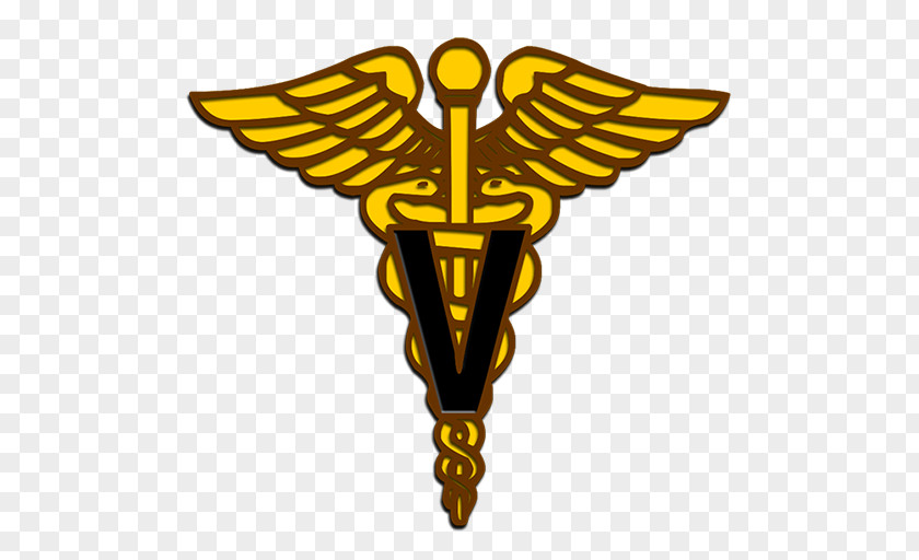 Vet Symbol Cliparts Dentistry Staff Of Hermes Caduceus As A Medicine PNG