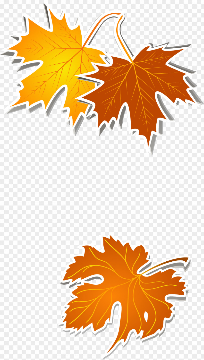 Autumn Leaves Design Elements Leaf Yellow Clip Art PNG