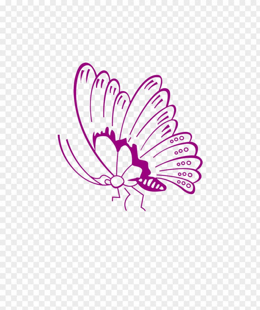 Butterfly Cdr PNG