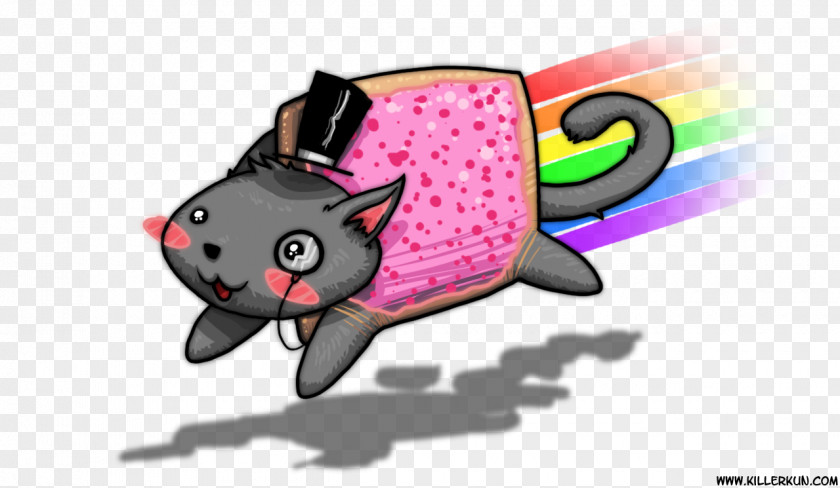 Cat Nyan YouTube Pusheen Desktop Wallpaper PNG