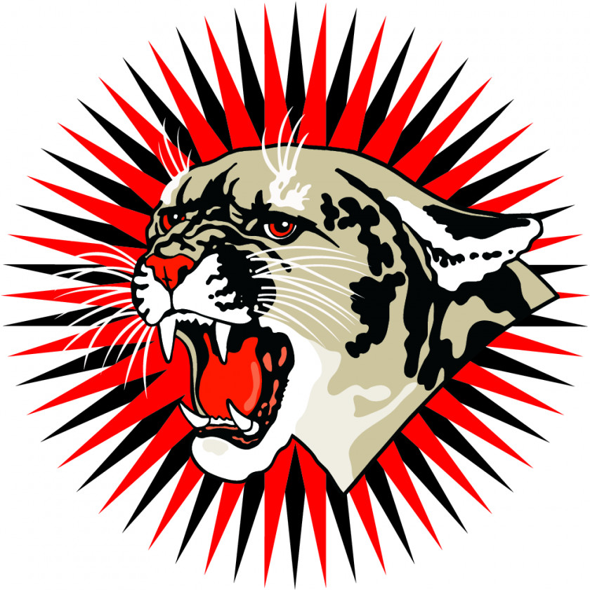 Cougar Head Cliparts Cat Black Panther Clip Art PNG