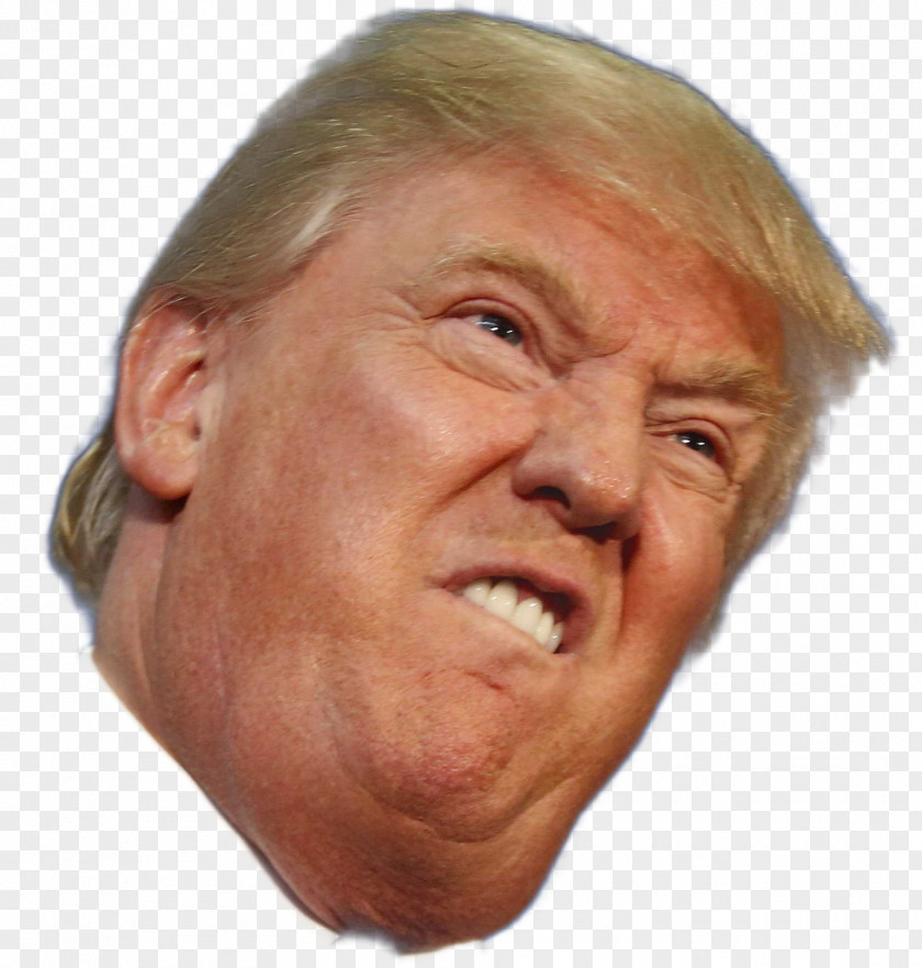 Donald Trump Funny Face United States Of America Clip Art Dick Avery PNG