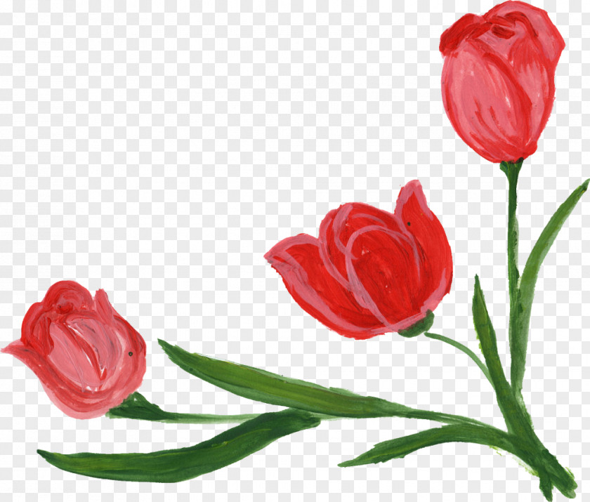 Floral Corner Cut Flowers Tulip Bud Garden Roses PNG