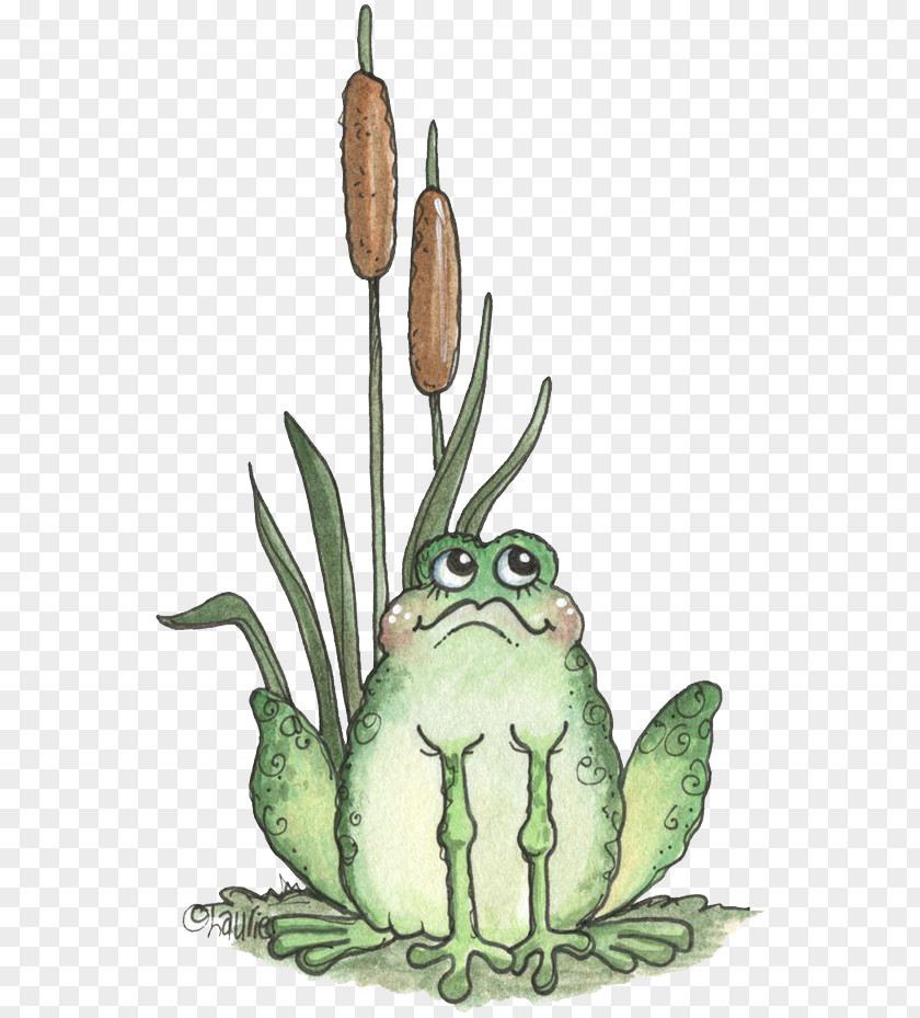 Frog Tree Cartoon Illustration PNG