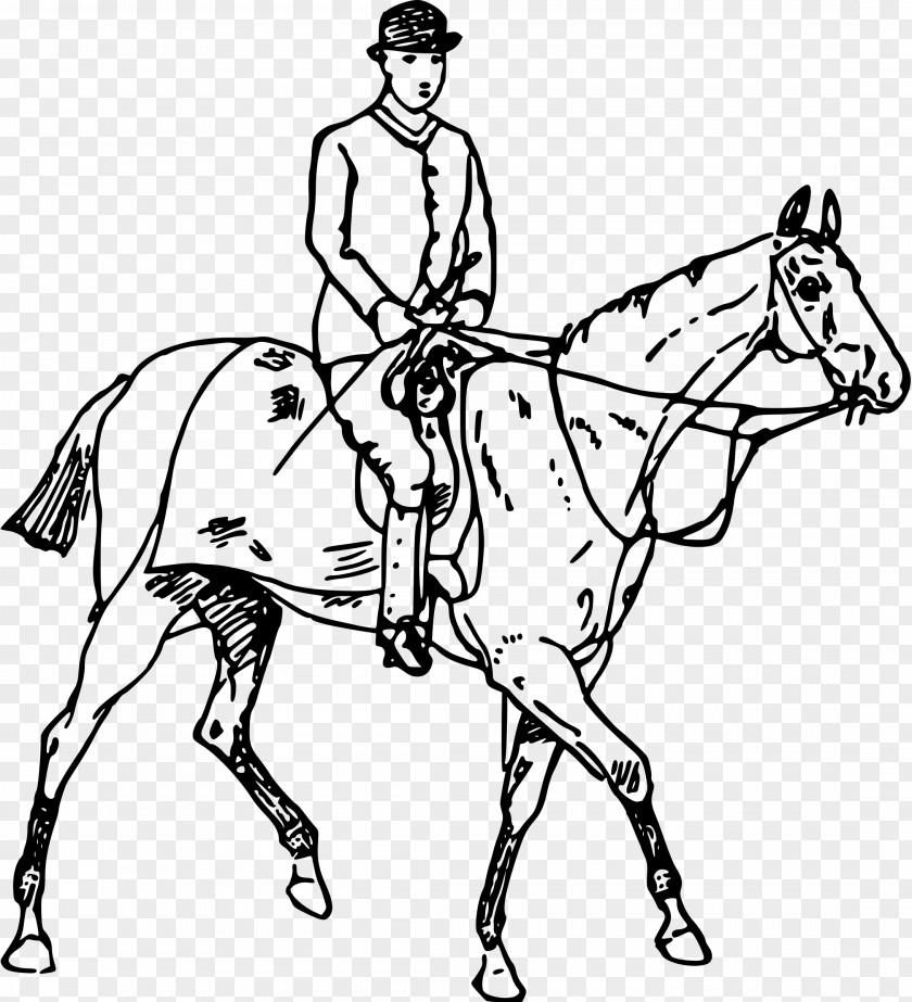 Knight Rider Horse Equestrian Drawing Clip Art PNG