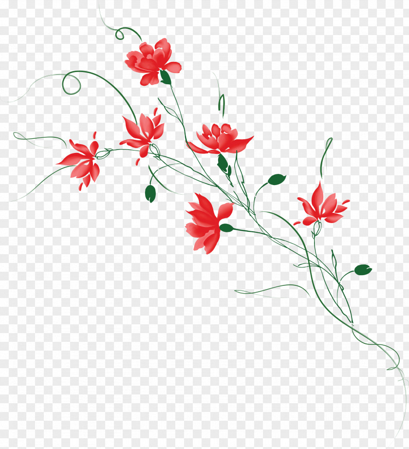 Wall Painting Photography Flower PNG