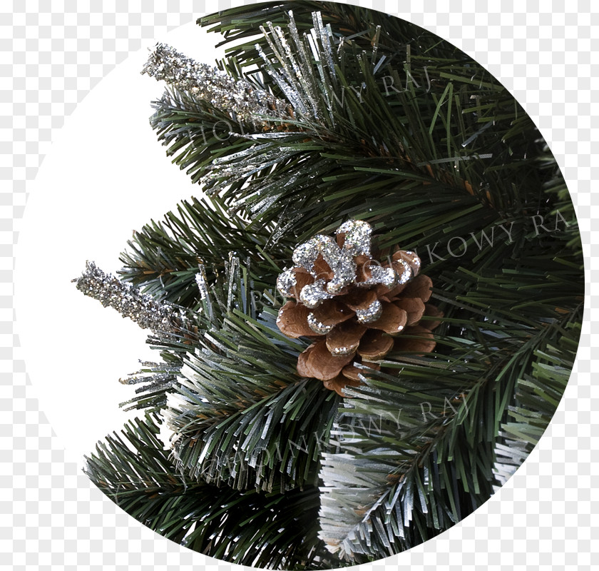 Christmas Fir Spruce Ornament Pine PNG