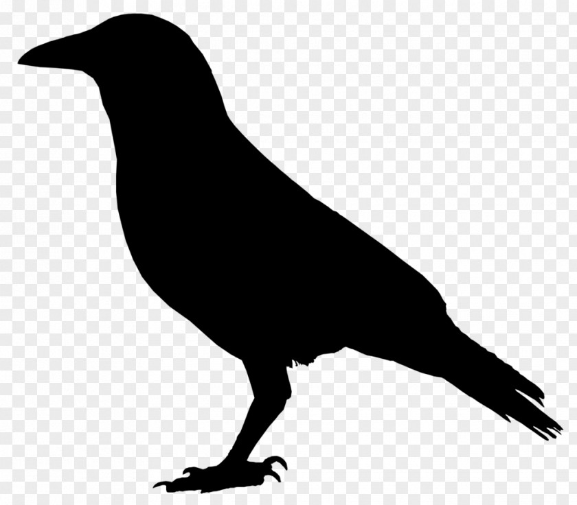 Crow Vector Drawing Clip Art PNG
