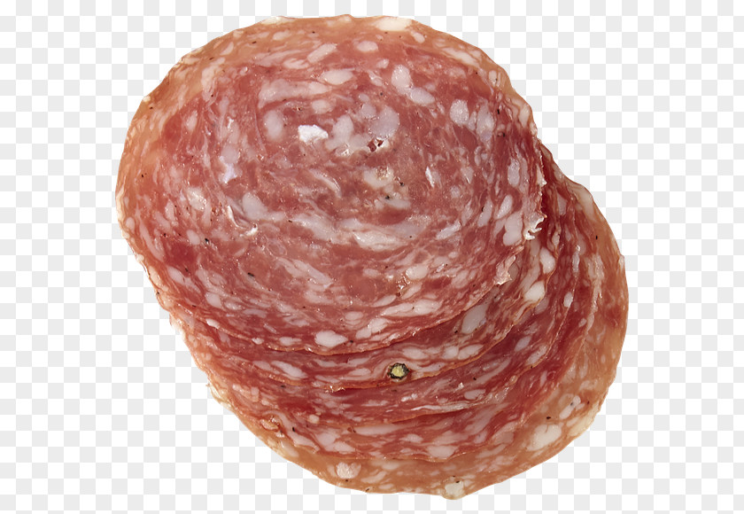 Sausage Salami Mortadella Mettwurst Soppressata Cervelat PNG