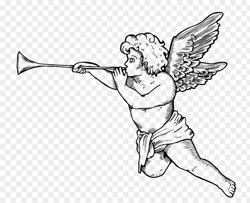 Cupid Cherub Vector Graphics Clip Art Angel PNG