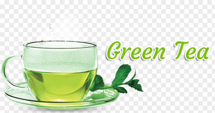 Green Tea Drink Sushi PNG