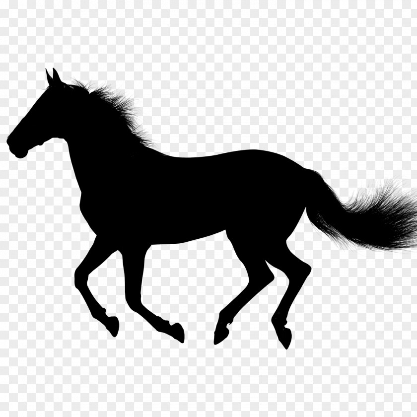 Horse Vector Graphics Clip Art Illustration PNG