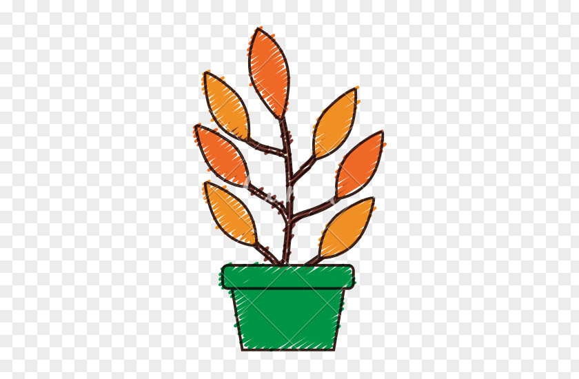 Pot Plant Food Tree Leaf Flowerpot PNG