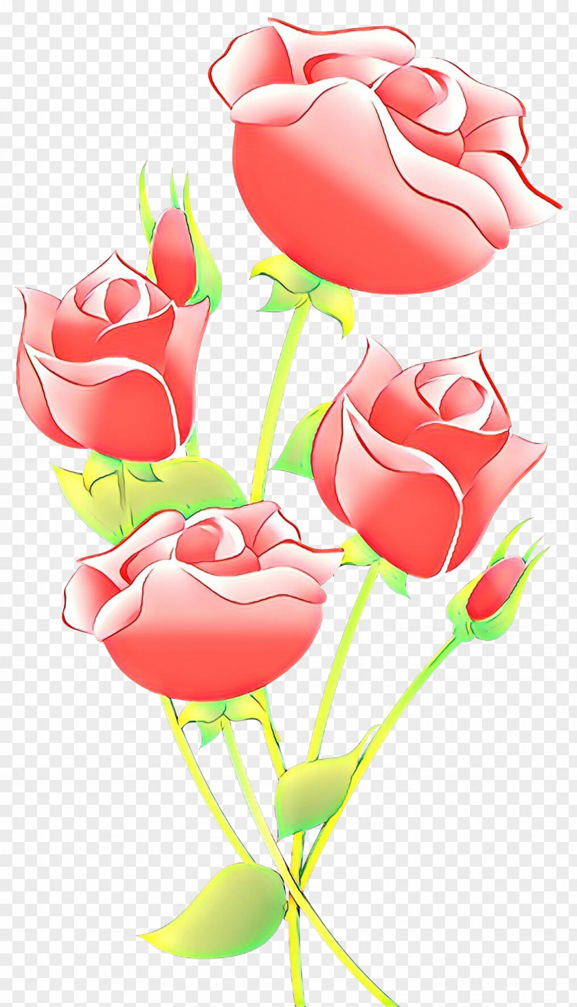 Rose Family Petal Garden Roses PNG