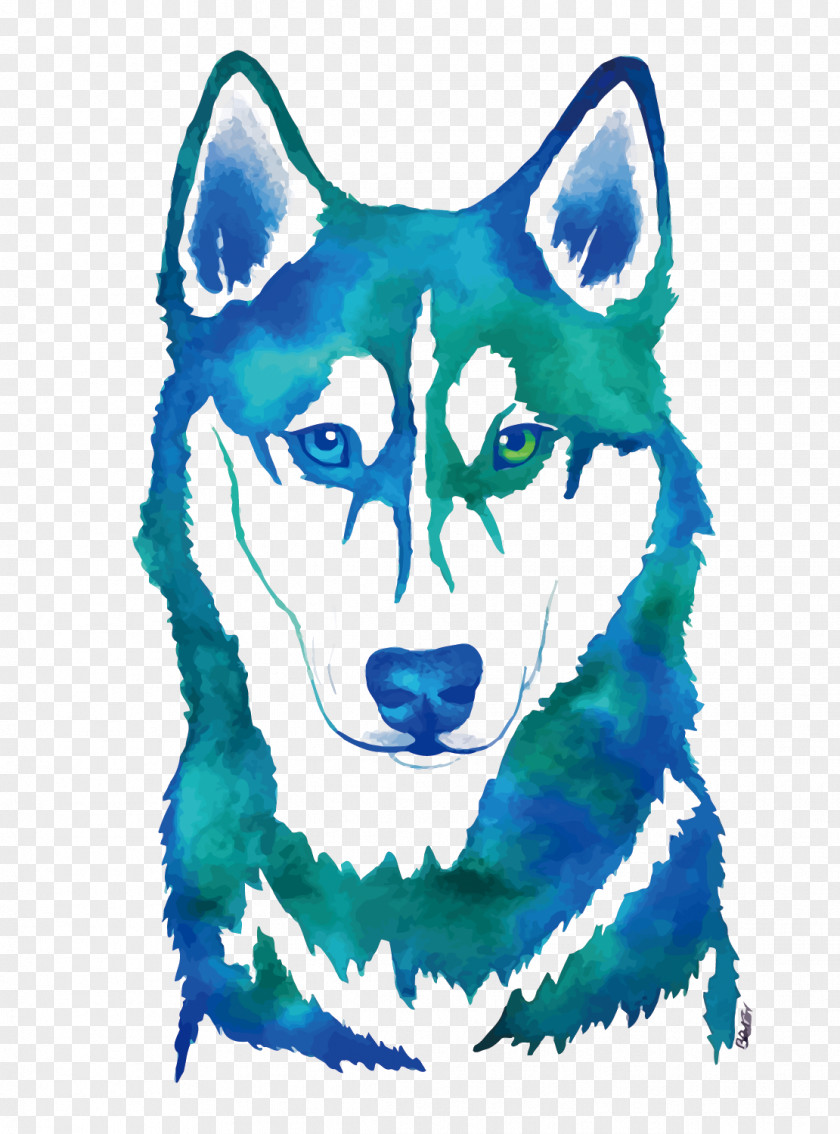 Vector Watercolor Husky Siberian Painting Canidae PNG