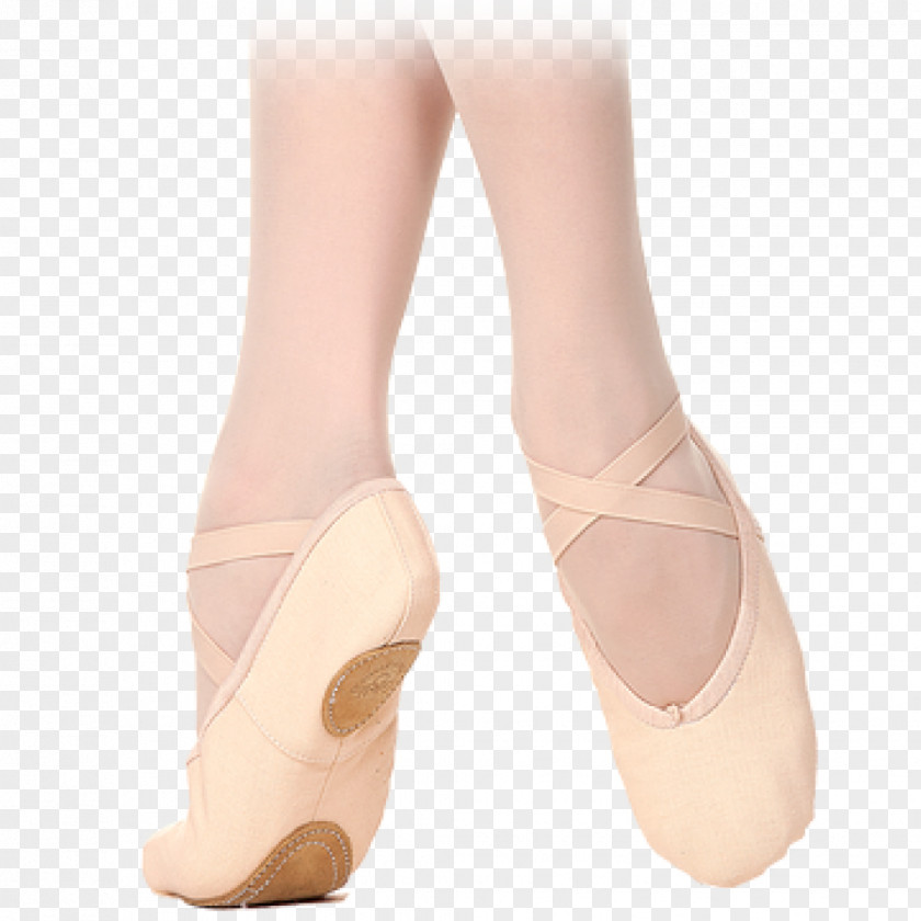 Ballet Flat Shoe Slipper Pointe PNG