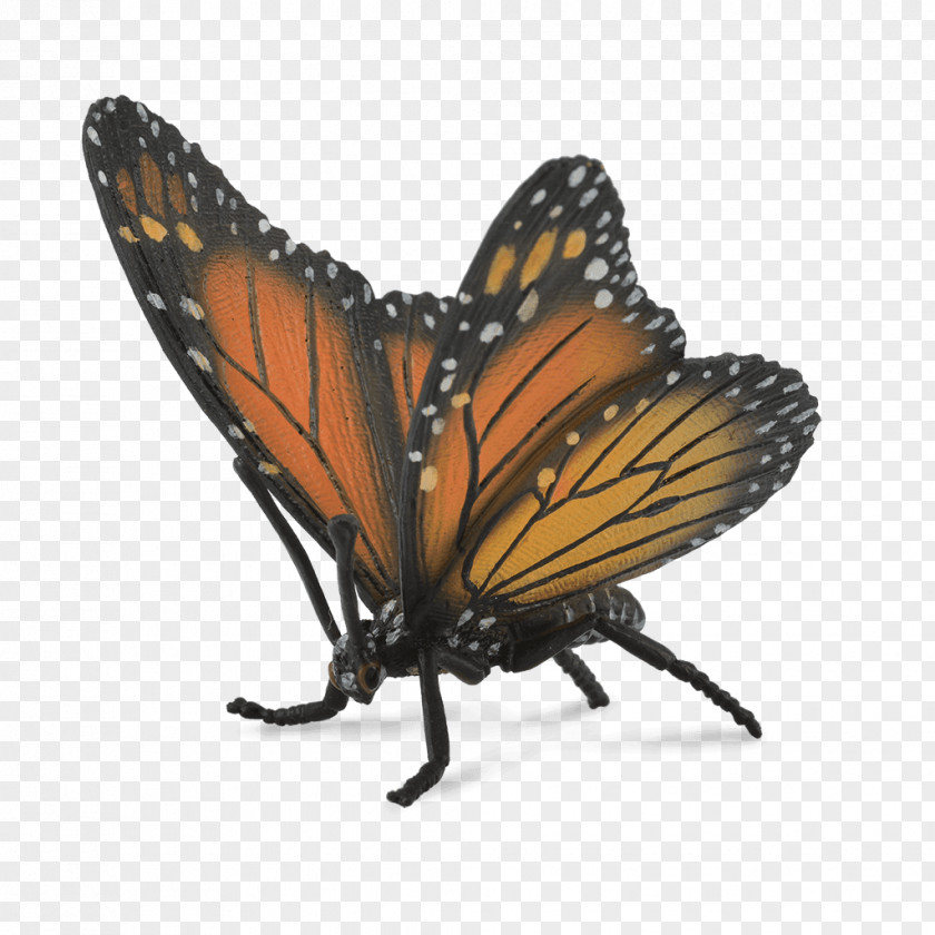 Butterfly Monarch Butterflies & Insects Toy PNG