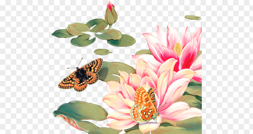 Butterfly Water Lily Lotus Clip Art PNG