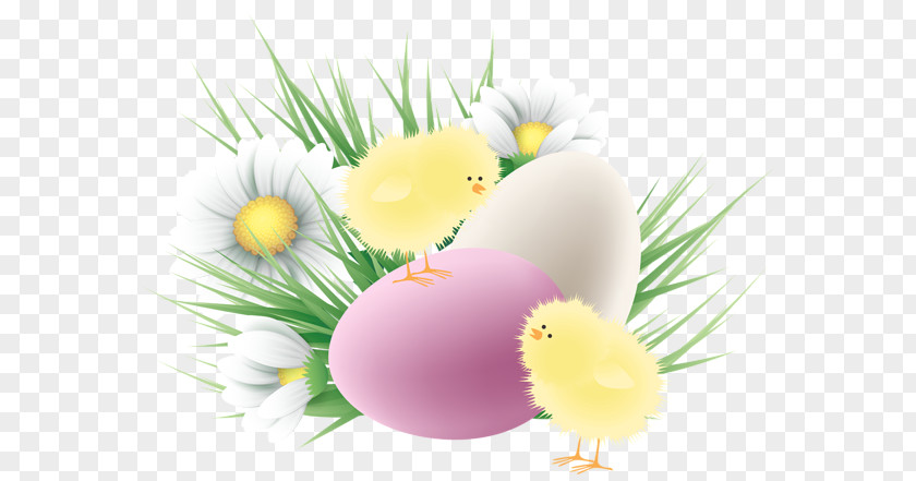 Chicken Easter Egg Clip Art PNG